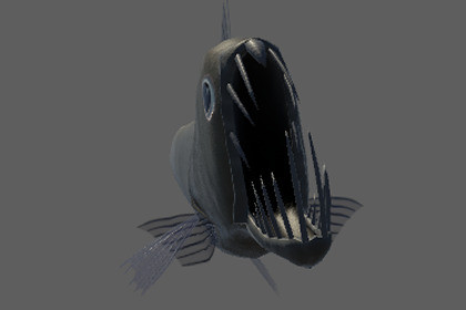 Rare Ocean Fish Pack