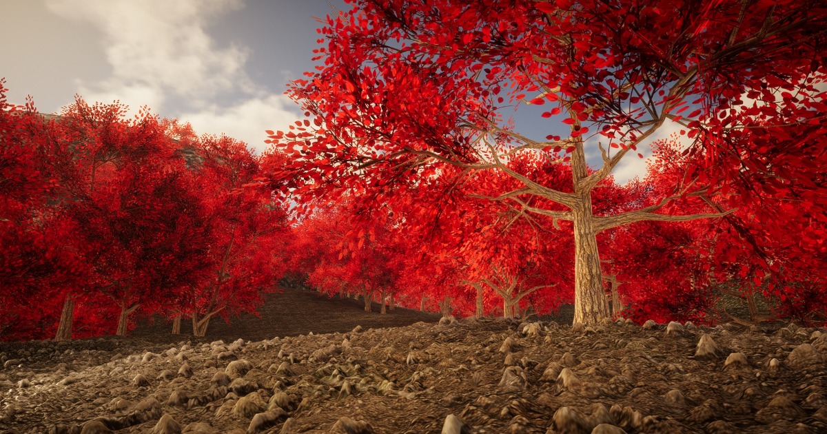 HDRP Tree Pack #3 | 3D Trees | Unity Asset Store