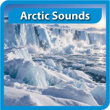 Arctic Sounds