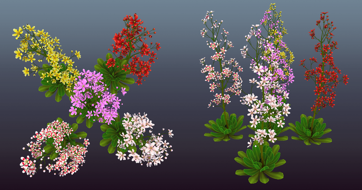 Unity Flowers FLower Saxifraga stolonifera | 3D Flowers | Unity Asset Store