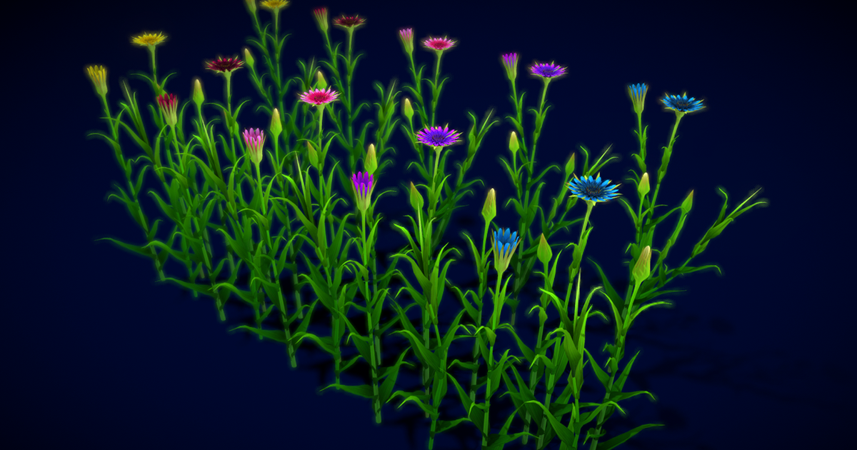 Unity Flowers Flower Yellow Salsify | 3D Flowers | Unity Asset Store