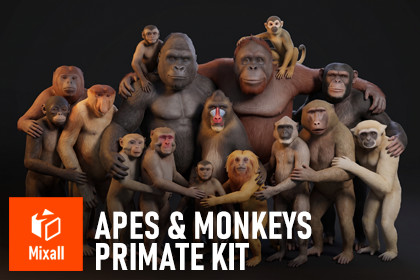 Apes & Monkeys - Primate Kit