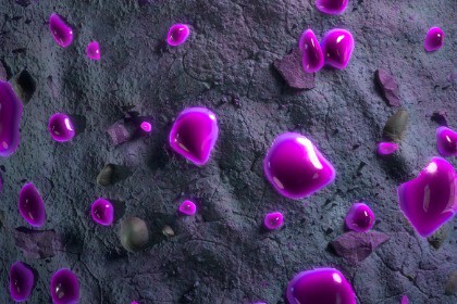 Crystal Texture & Material Vol. 23