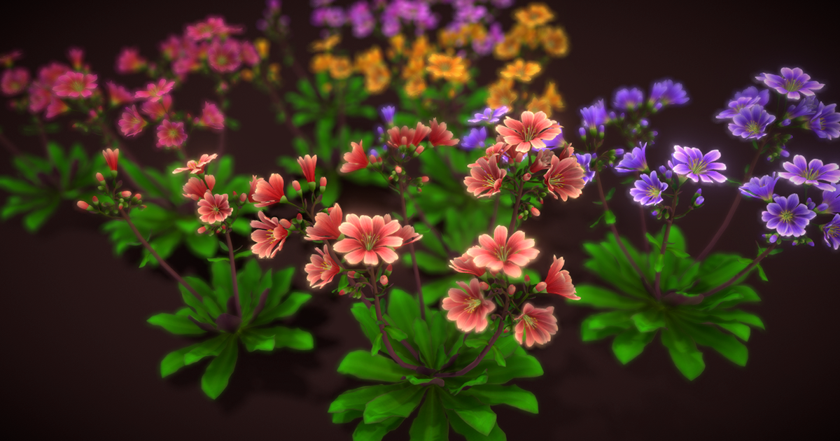 Flower Lewisia | 3D Flowers | Unity Asset Store