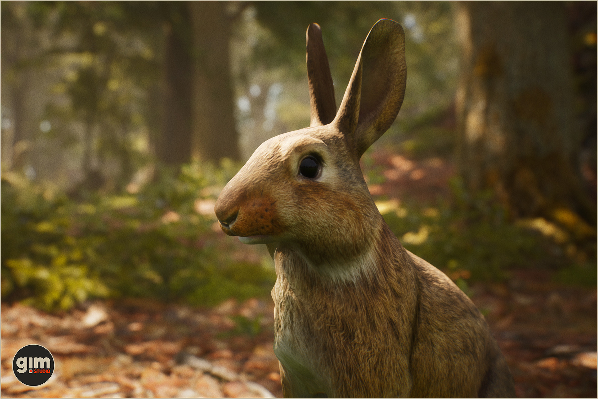 Animalia - European Rabbit | 3D 동물 | Unity Asset Store