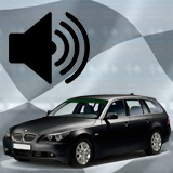 2.5L German Diesel Engine Sound