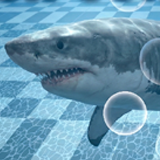 Fish Controller | Physics based Fish/Eel/Flat Fish movement System