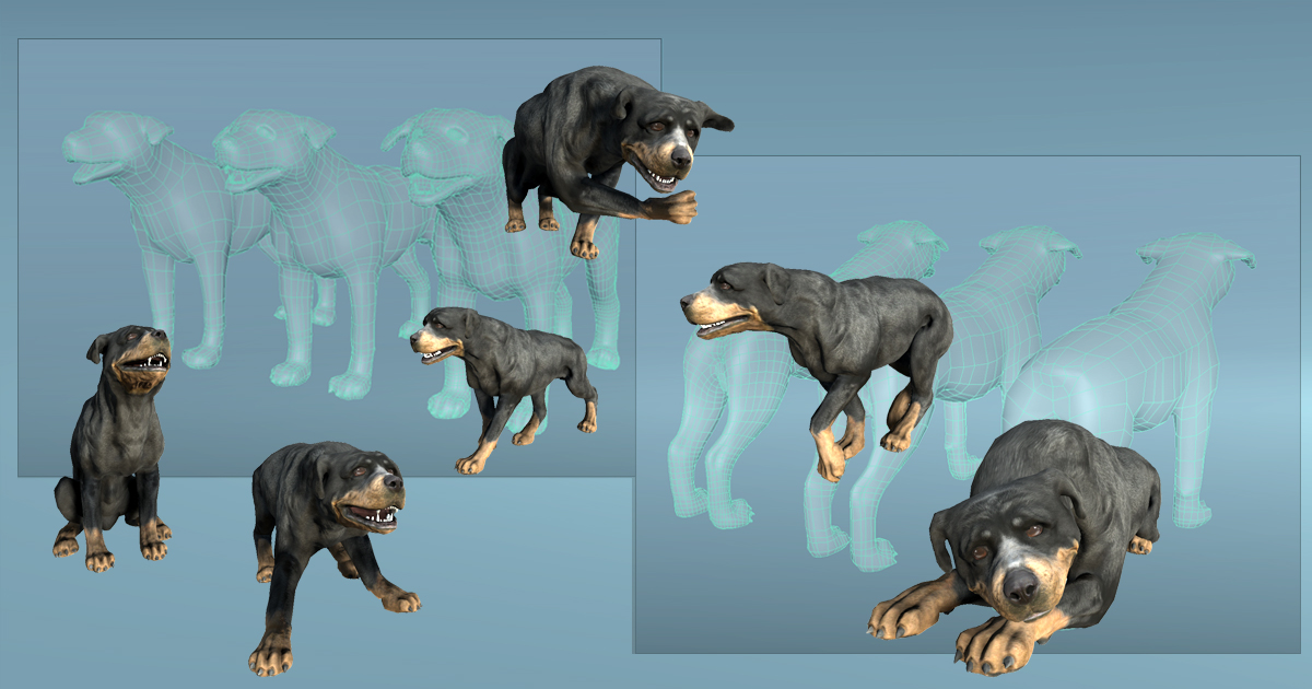 Dog - Rottweiler (Full) | Characters | Unity Asset Store