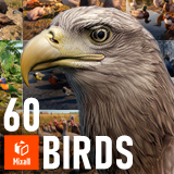 60 Birds - Full Animals Pack