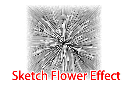 Sketch Flower Effect By maything