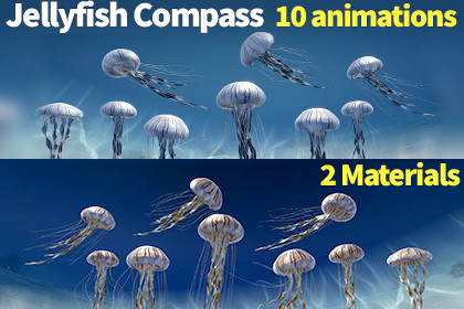 Jellyfish Compass