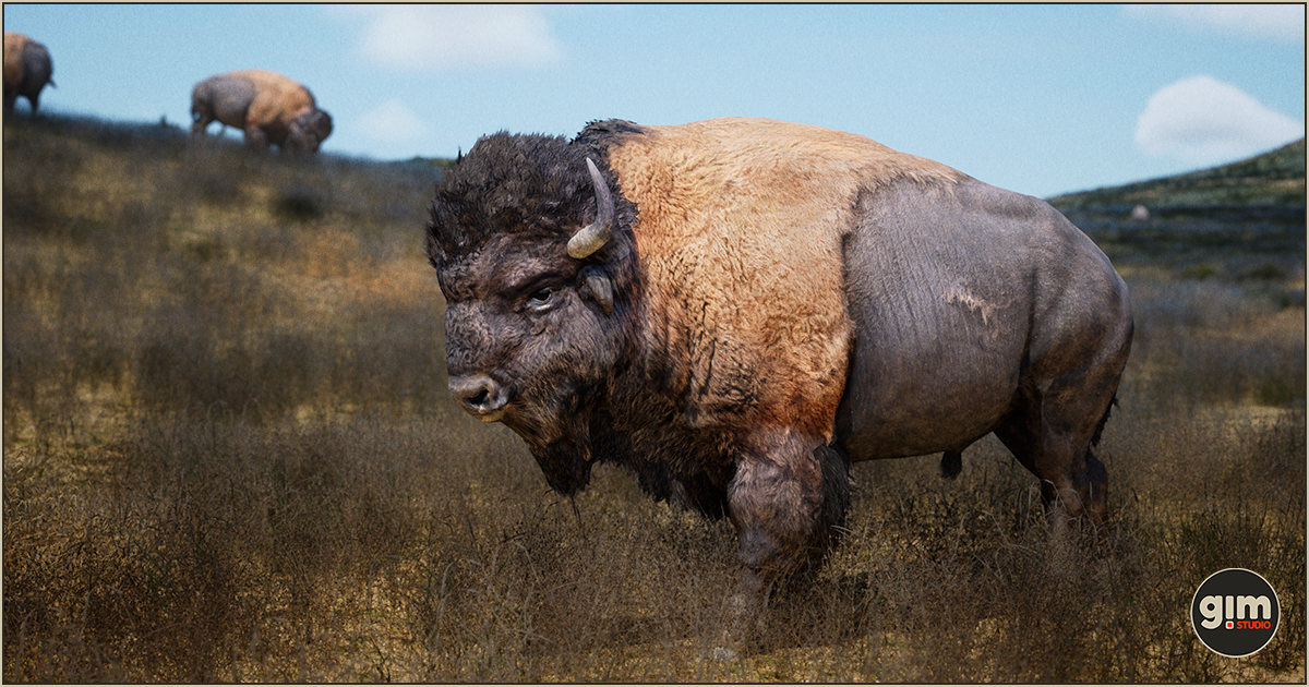 Bison Unity Animalia - American Bison (male) | 캐릭터 | Unity Asset Store