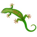 Animated Gecko