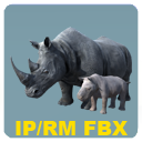 African Animal Rhinoceros Family