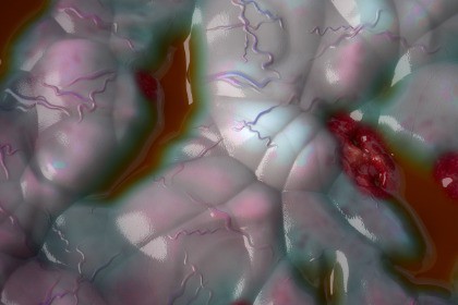 Infection Texture & Material Vol. 04