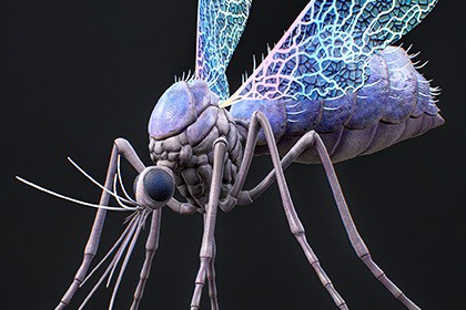 Mosquito Queen Boss - Fantasy Magic Mosquitoes