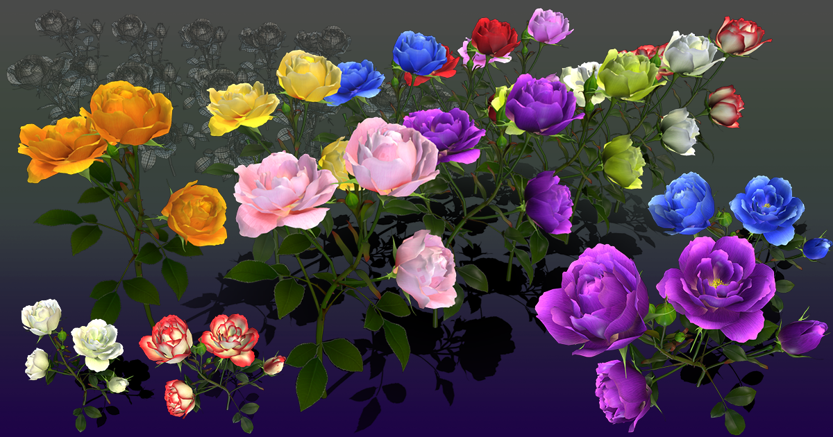 Flower Rose Bungaria | 3D Flowers | Unity Asset Store