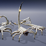MONSTER: ARANOCODUS