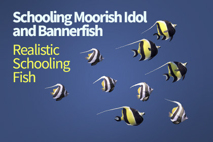 Schooling 9 Moorish and Bannerfish