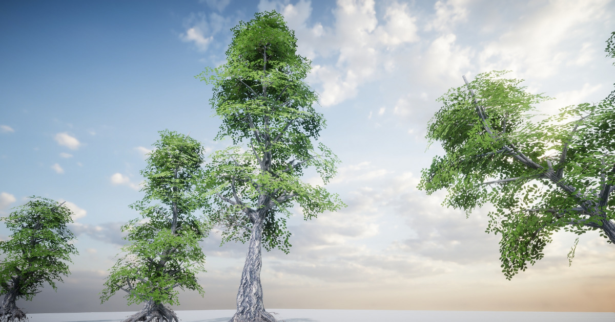 HDRP Tree Pack 3 | 3D Trees | Unity Asset Store