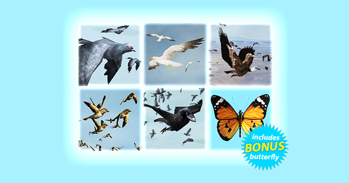 Bird Flock Bundle | 캐릭터 | Unity Asset Store
