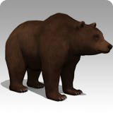 Grizzly Bear Animated