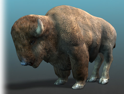 Bison Unity American Animal - Bison (Buffalo) | 캐릭터 | Unity Asset Store