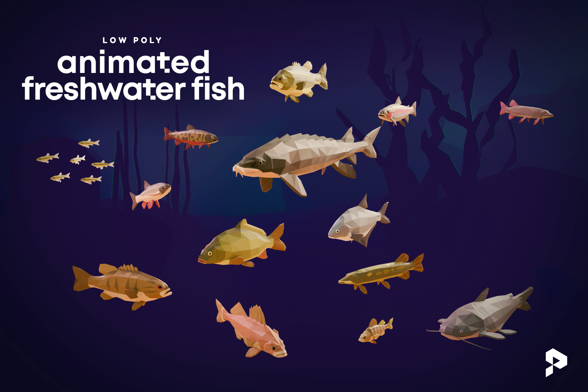 Low Poly Animated Freshwater Fish
