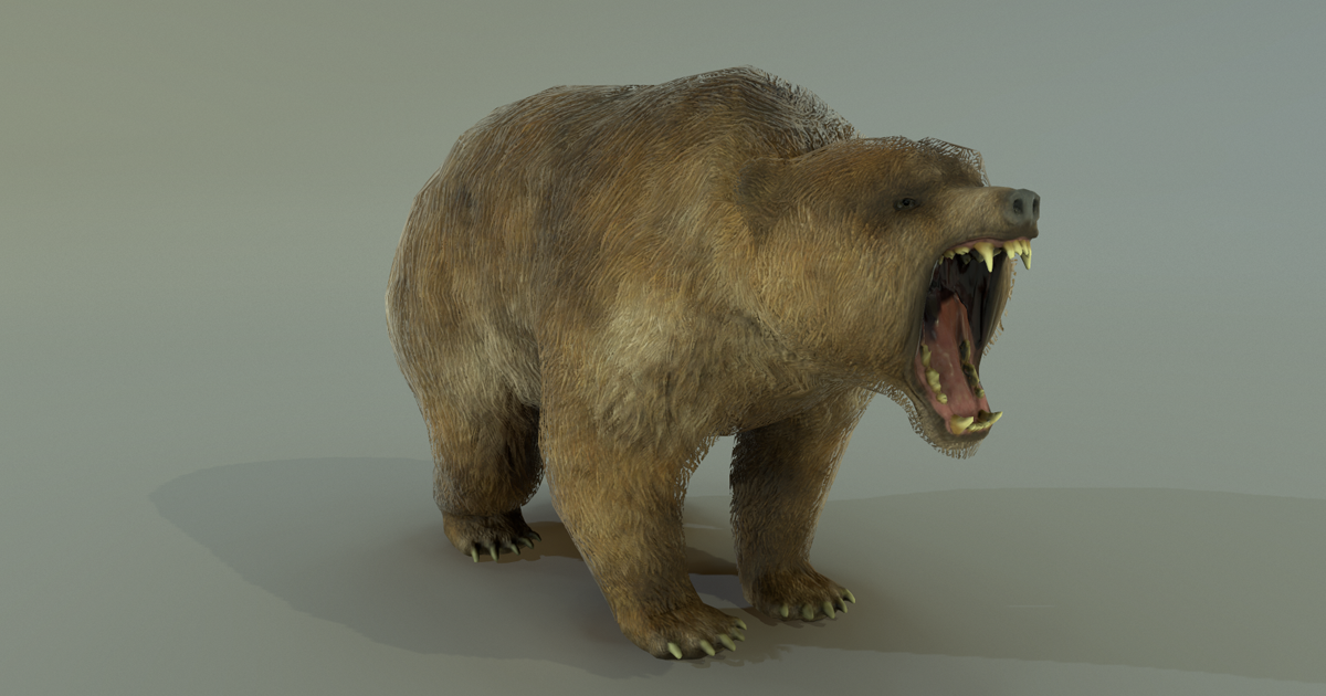 Red Bear Unity Model BEAR | 3D Animals | Unity Asset Store