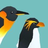 Stylized Penguin Animation Pack