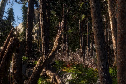 Book Of The Dead: Environment | URP Conversion