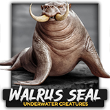 Walrus Seal - Underwater Enemy Creature