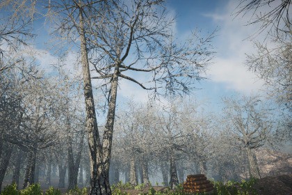 Winter Tree Bundle (Mobile)
