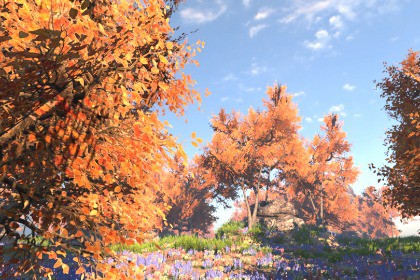 Mobile Tree Pack 29 (for URP)