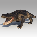 Alligator Animated