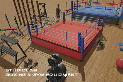 Boxing and Gym Equipment