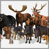 Cartoon Wild Animals