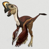 Oviraptor