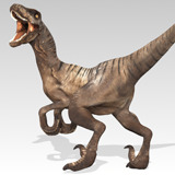 Velociraptor (Animated)