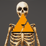 Realistic Skeleton - Rigged