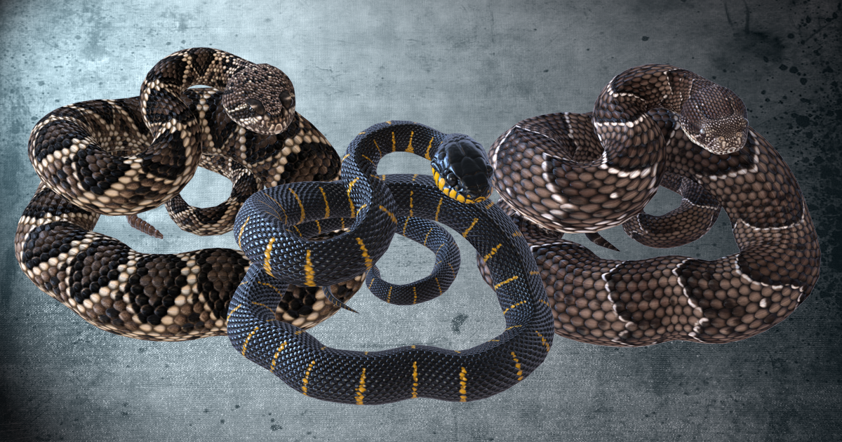 Unity Store Snake Animated Snakes PBR Volume 4 | キャラクター | Unity Asset Store