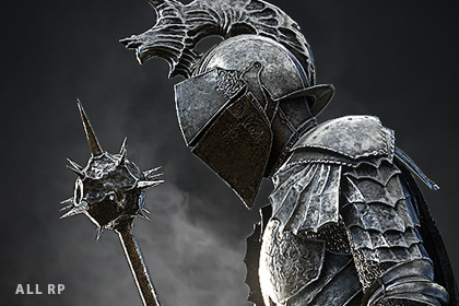 Paladin Commander