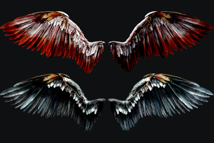 Fallen Angel Wings