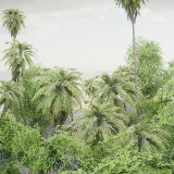 Tree Collection Pack 4
