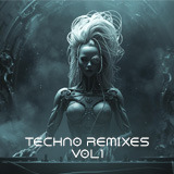 Techno Remixes Vol 1