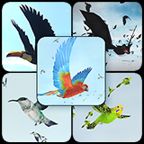 Bird Flock Bundle 2 | 2026