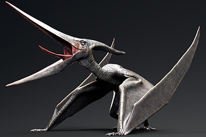 Dinosaur Pteranodon 179 Animations