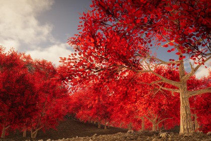 HDRP Tree Pack #3