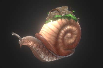 Snail Big