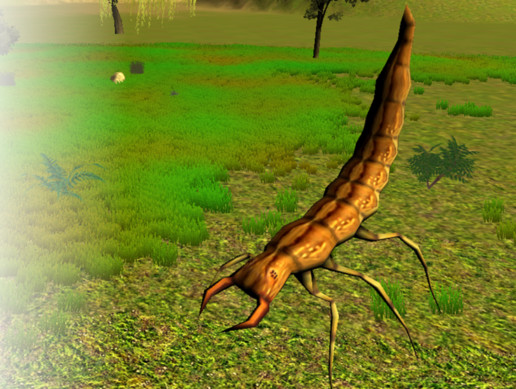 Small Bug